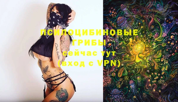 твердый Абаза