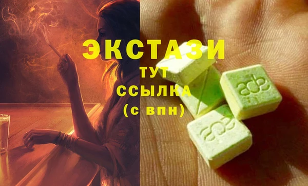 индика Протвино