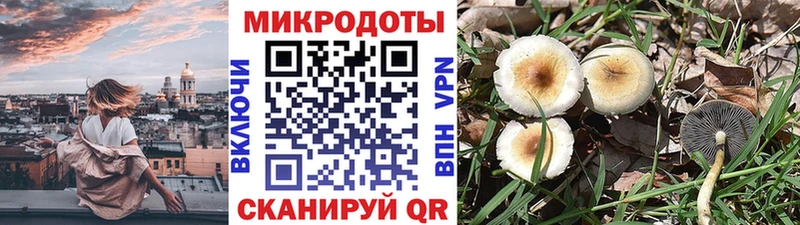 Галлюциногенные грибы GOLDEN TEACHER  Карпинск 